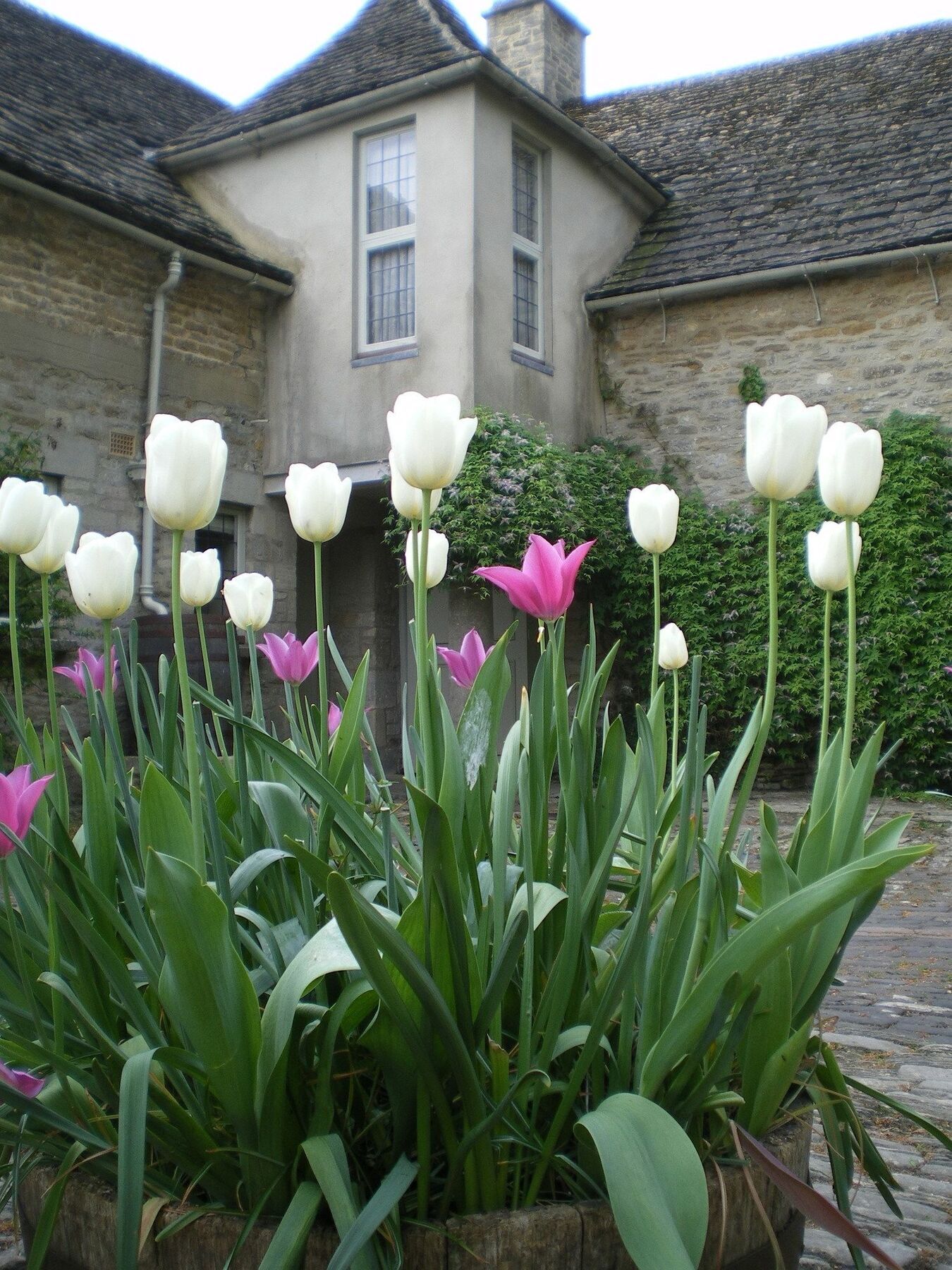 Hotel Barnsley House à Ampney Crucis Extérieur photo